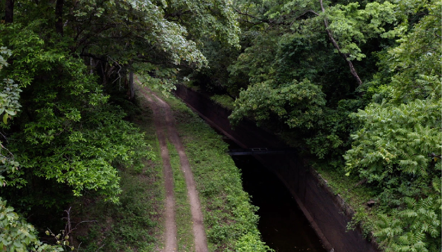 Aliyar canal