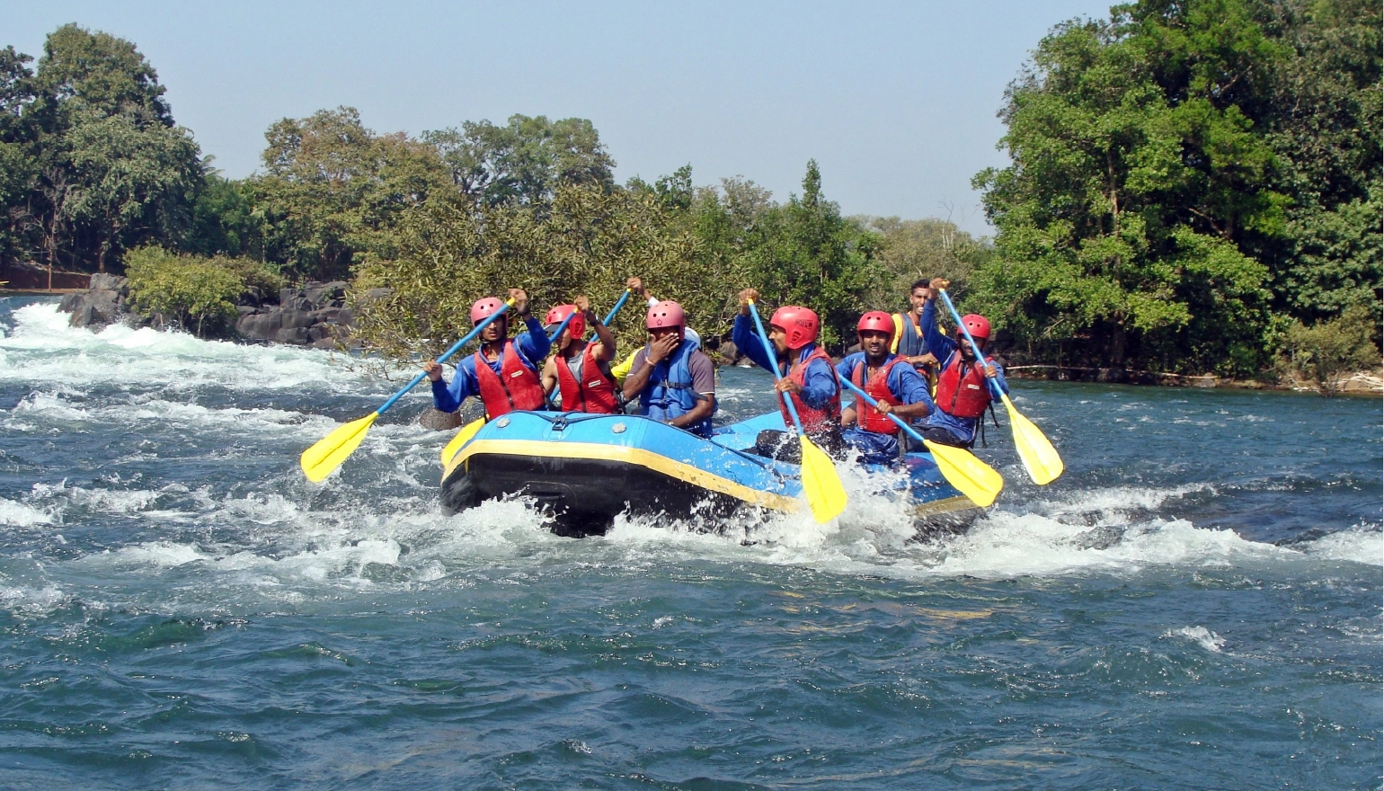 Dandeli