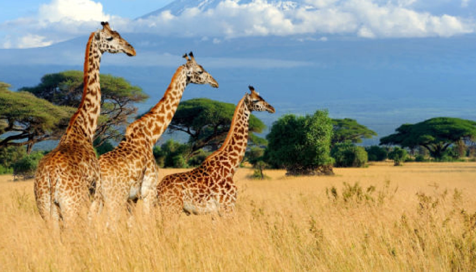 Kenya