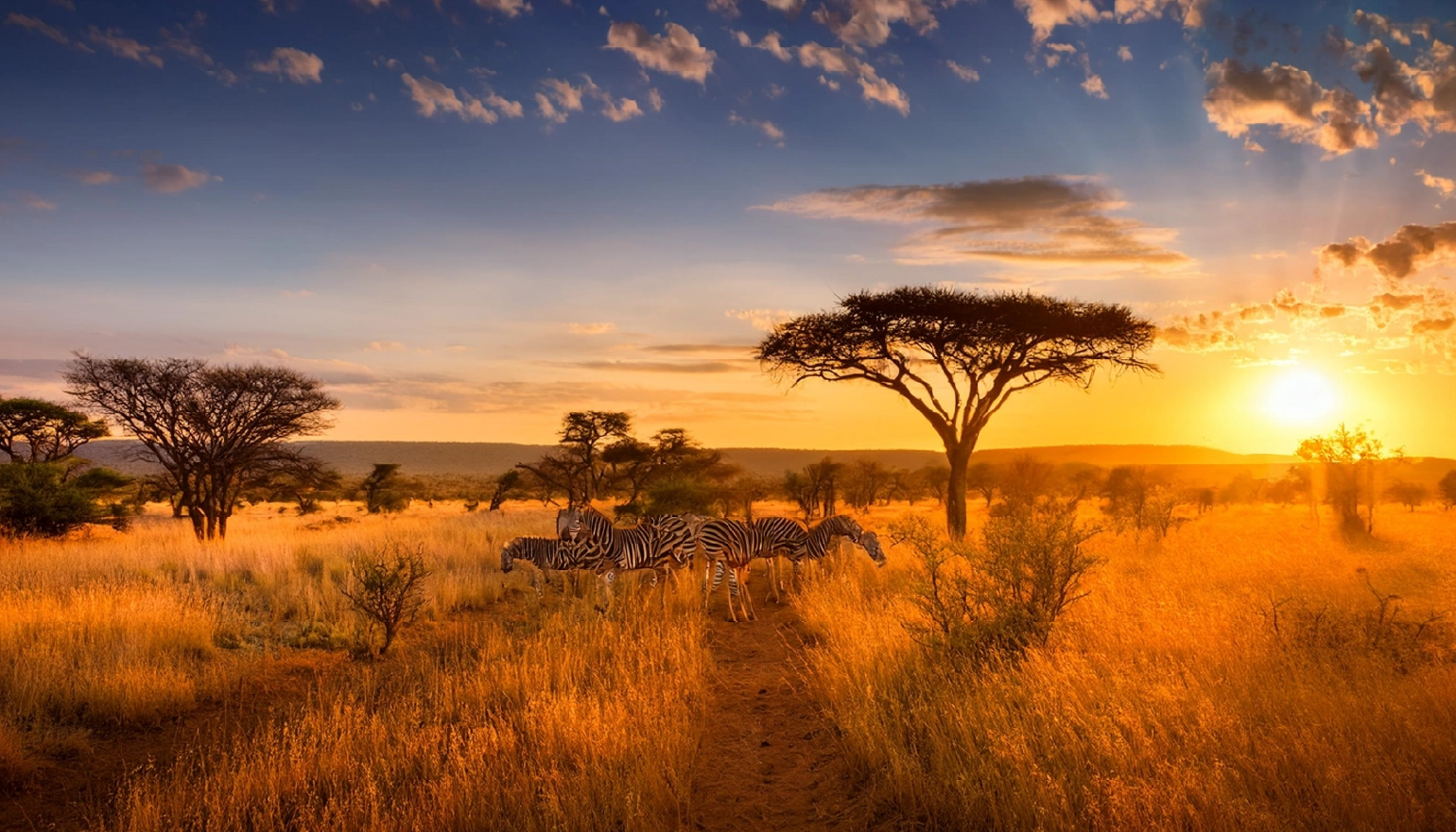 South Africa