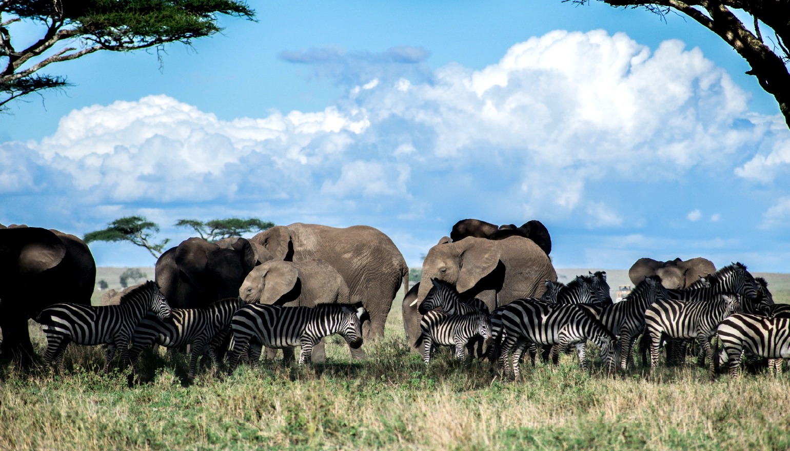 Tanzania
